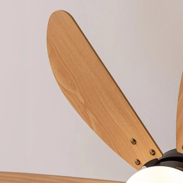 Imagen 6 Ventilador de techo EnergySilence Aero 360 Black&Wood de 50 W y 36". 6 aspas reversibles, lámpara, 3 velocidades y función verano-invierno.