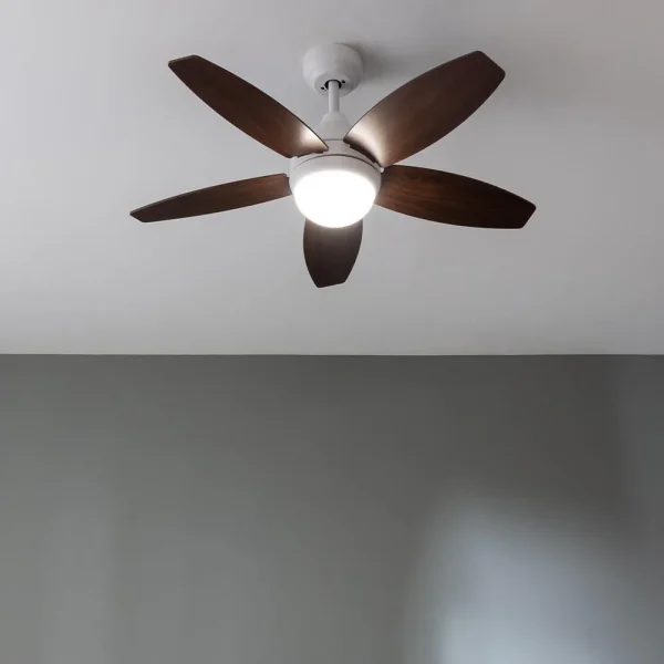 Imagen 3 Ventilador de techo de 42” con motor de 53 W, luz LED 15 W y diseño White&DarkWood. Incluye mando a distancia, temporizador y función verano/invierno.