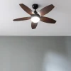 Imagen 3 Ventilador de techo 42” EnergySilence Aero 4200 Black&DarkWood. Motor 53W, luz LED 15W, mando a distancia y temporizador. Diseño elegante y silencioso.