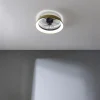 Imagen 3 Ventilador de techo con luz LED de 45 W y motor DC silencioso. Diseño verde de 45 cm, mando a distancia, 3 tonos de luz y función verano/invierno.