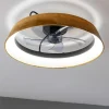 Imagen 6 Ventilador de techo con luz LED de 45 W y motor DC silencioso. Diseño verde de 45 cm, mando a distancia, 3 tonos de luz y función verano/invierno.