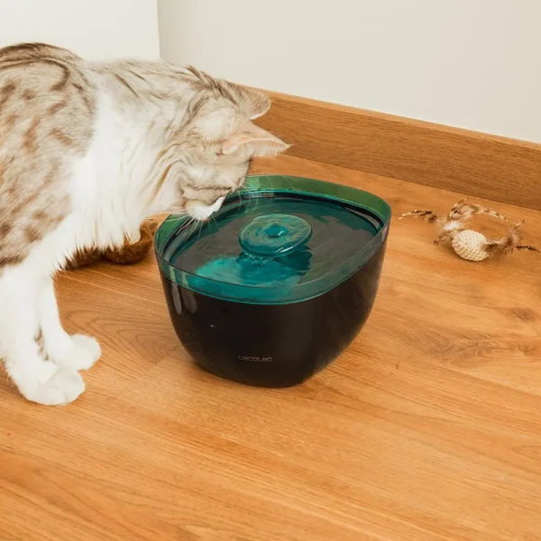 Imagen 7 Fuente automática para mascotas Cecotec Pumba 2200 Refresh con 2 litros de capacidad, filtro purificador y luz interior para mantener el agua fresca diaria.