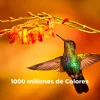 Imagen 6 Televisor Cecotec ALU30075 de 75" con resolución 4K UHD, Android TV 11, Dolby Vision y Atmos. Pantalla de gran formato con Google Assistant y Chromecast integrado.