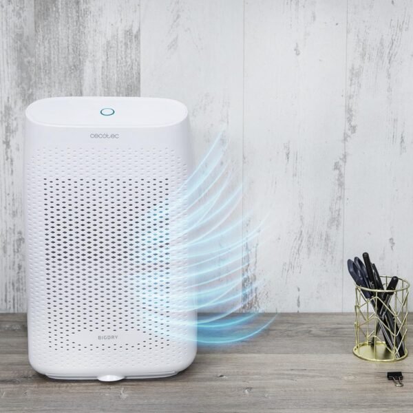 Imagen 3 Deshumidificador BigDry 2500 Essential 360 de Cecotec