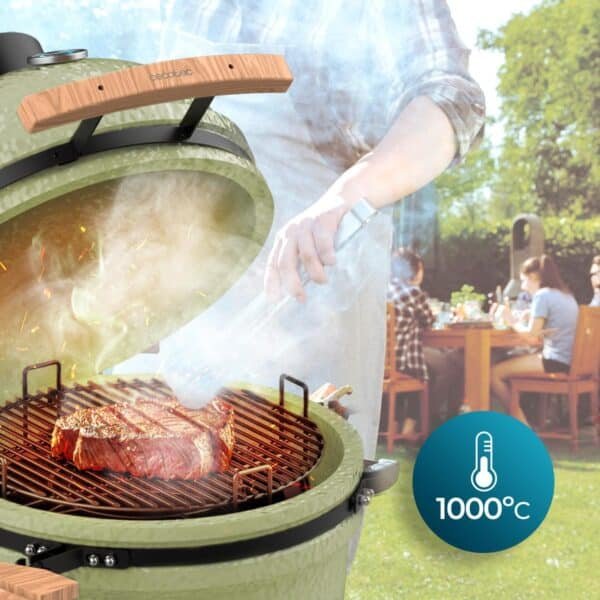 Imagen 5 Barbacoa DragonFire 4600 de Cecotec