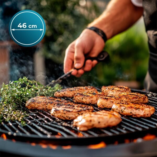 Imagen 7 Barbacoa DragonFire 4600 de Cecotec
