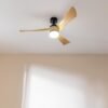 Imagen 3 Ventilador de techo EnergySilence Aero 5285 LightWood de Cecotec