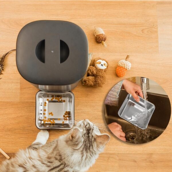 Imagen 8 Comedero automático Pumba 6000 Purrfect Meal Smart de Cecotec